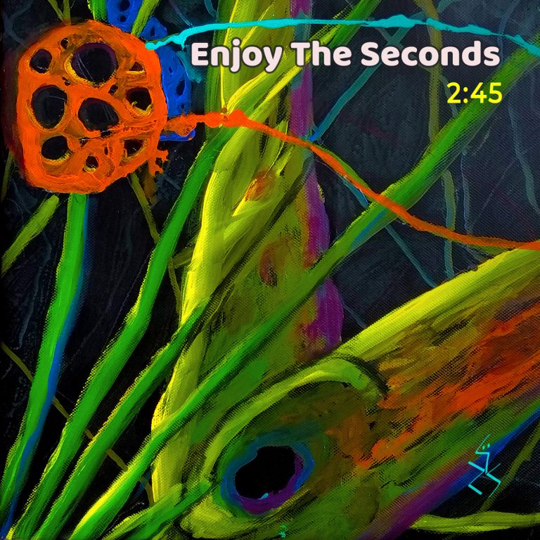 Enjoy the Seconds artwork